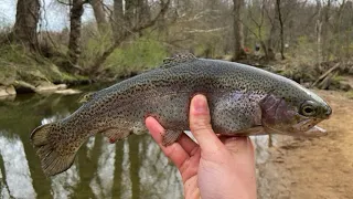 Stocked Trout Fishing For a Quick Limit at Saw Mill Park! (Darby Creek)