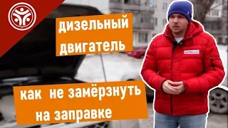 Дизельный двигатель. Как не замерзнуть солярке? (Советы от РДМ-Импорт)