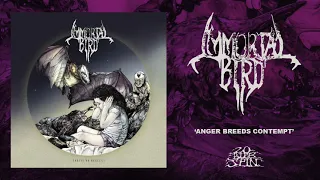 IMMORTAL BIRD - Anger Breeds Contempt (From 'Thrive On Neglect' LP, 2019)