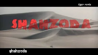 Shahzoda feat Faydee - Habibi Albi  _ Tiger remix