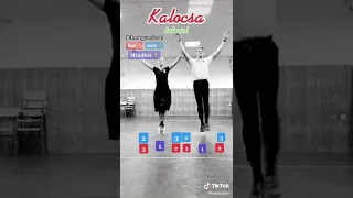 Kalocsa tutorial