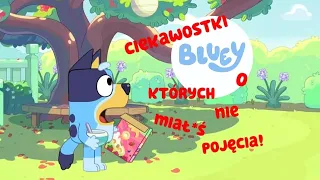 Bluey- CIEKAWOSTKI o których nie miałeś pojęcia!