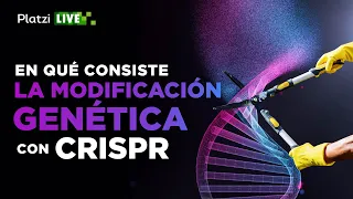 Cómo funciona la modificación genética con CRISPR