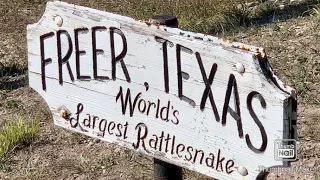 Worlds Largest Rattlesnake
