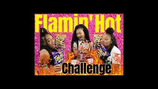 EXTREME FLAMIN HOT CHEETOS AND TAKIS CHALLENGE!! (CASH BET) WITH SUNJAI , STAR, AND SKY!! |VLOG.2|