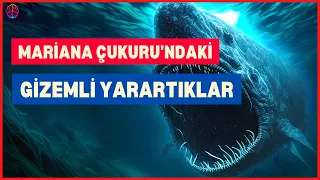 Dünyanın En Derin Yerinde Yaşayan 10 Gizemli Yaratık  | Mariana Çukuru