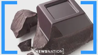 Chocolate reverses memory decline in adults over 50: Study | Morning in America