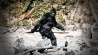 5 Mysterious Bigfoot Sightings that may be REAL