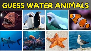 Guess 40 Sea/Water Animals | Aquatic Animals | Animal Quiz