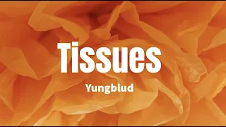 Tissues - Yungblud (Lyrics)