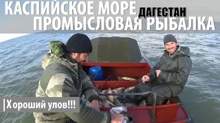 Промысловая рыбалка на Каспийском море. Кизляр, Дагестан.