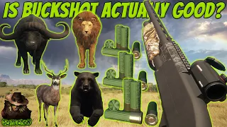 Is Buckshot ACTUALLY GOOD? I Tested It On Everything And It Really Surprised Me... Call of the wild