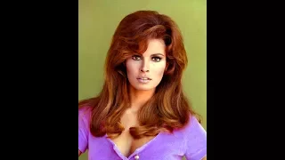 About Raquel Welch - Fantastic Success 3 - Sexy 60's Success