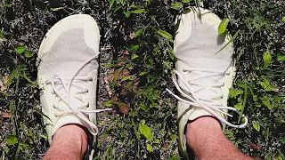 I Wore BAREFOOT SHOES for 365 days! This Happened?