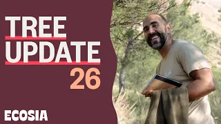 COVID Safe Update from Spain | Tree Update Episode 26