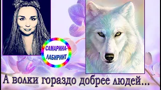 /А волки гораздо добрее людей.../ Ирина Самарина-Лабиринт