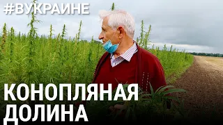 Конопляная долина | #ВУКРАИНЕ