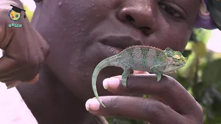 N*Gen REPTILES episode