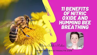 412 - 11 POWERFUL HEALTH BENEFITS OF NITRIC OXIDE AND HUMMING BEE BREATHING