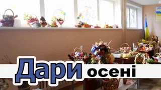 Дарунки осені. Житомирська ЗОШ 22