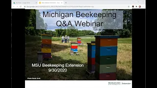 MSU Beekeeping Q & A September 2020