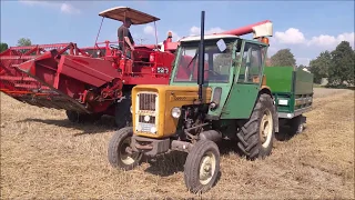 Massey Ferguson 520 !!ŻNIWA 2018!! Ursus C360 3P HIT