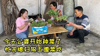 春天到了，公婆忙着在地里种菜，媳妇下厨准备5道菜，干完活吃着真香