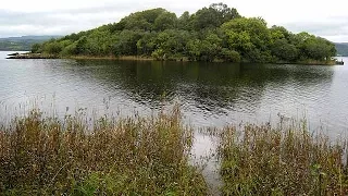 "The Lake Isle of Innisfree" by Yeats (read by Winston Tharp)