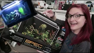 Fluval Spec 5 Gal Tank | Unboxing & Set-Up | Alyssa Nicole |