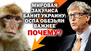 Мировая закулиса забывает Украину.  Оспа обезьян важнее.  Почему? / #ЗАУГЛОМ #АНДРЕЙУГЛАНОВ #ОСПА