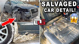 Cleaning a SALVAGED Audi Bought At Auction! | The Detail Geek