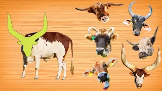 CUTE ANIMALS Find African Bull Head Jigsaw Puzzle 귀여운 동물 아프리카 황소 머리 직소 퍼즐 찾기