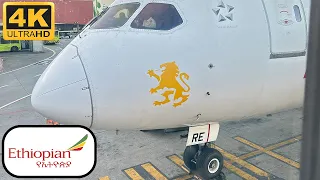 Ethiopian Airlines Boeing 787-8 São Paulo (GRU) to Buenos Aires (EZE)
