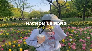 NACHOM LEIRANG✨||Manipuri New Song✨🌼|| WhatsApp Status|| xml ⬇️