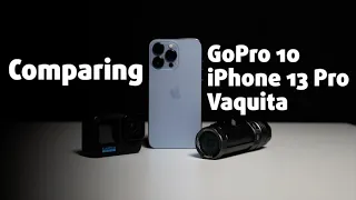 THE ULTIMATE COMPARISON 🎥🌊🐠 | GoPro 10 vs iPhone 13 Pro vs Vaquita for FILMING UNDERWATER