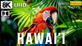 HAWAII 8K HDR Video Ultra hd 240 FPS Dolby Vision