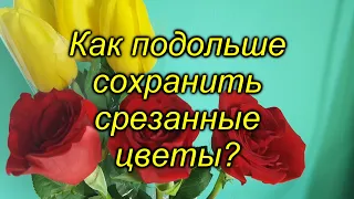 Срезанные цветы будут храниться долго!  (простые правила)