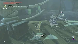 Zelda: Breath of the Wild - Master Mode Floor 10 Lizalfos strategy and recovering from mistakes