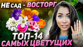 Посадил и ОБАЛДЕЛ! 14 редких и МАЛОУХОДНЫХ цветов для сада