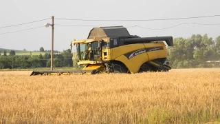 ozimný ječmen   New Holland CX860 + Biso VX 750 Crop ,harvest 2015 *HD*