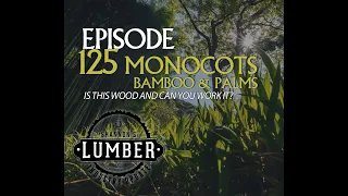 Woodworking with Monocots | Lumber Update Episode 125