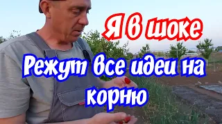 Дом на Юге.  Я в шоке. Режут все мои идеи на корню.