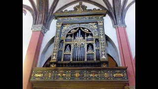 Palestrina - Loquebantur variis linguis with diminutions of Bruce Dickey. Liuwe Tamminga, organ