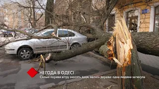 Непогода в Одессе: сильные порывы ветра сносят крыши и валят деревья – один человек погиб