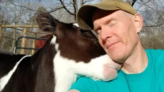 Cute Animal and Human That Will Change Your Mood For Good - Animal Show Love