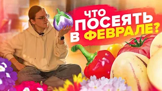 ЧТО СЕЯТЬ В ФЕВРАЛЕ 2024? Овощи и цветы