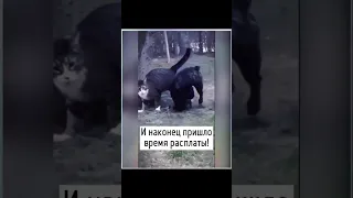 РЖУ НЕ МОГУ !))