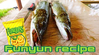 Northern Pike CATCH And COOK.. (Funyun Recipe)