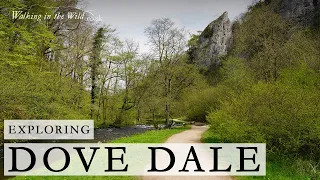 Peak District Walks: Dovedale