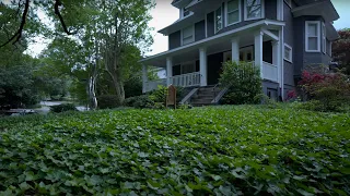 American Neighborhood Walk During Sunset Before Rain | Nature Sounds for Sleep and Study